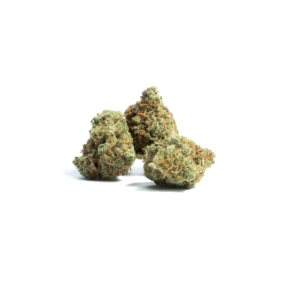 Fiori di Cbd - Gorilla Mary' s Amnesia - 2gr -