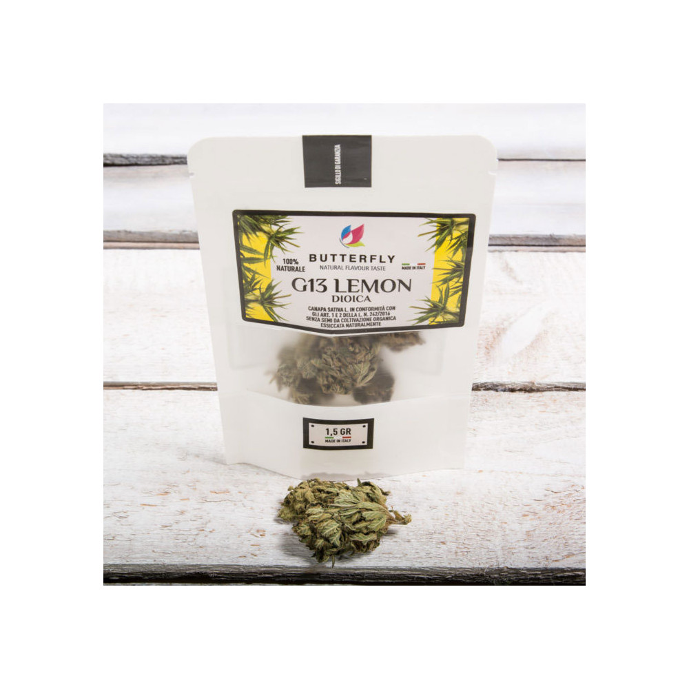 Infiorescenza Canapa G13 Lemon - Formato 1.5 gr Prod. Svizzera