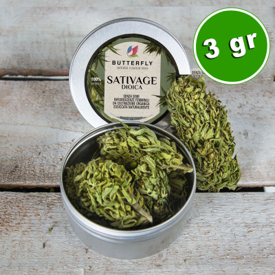 Infiorescenza Canapa BUD SATIVAGE - Formato 3 gr