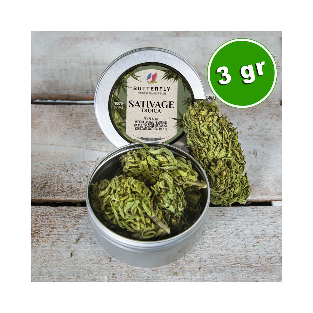 Infiorescenza Canapa BUD SATIVAGE - Formato 3 gr