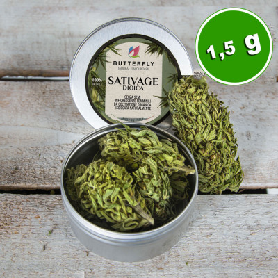 Infiorescenza Canapa BUD SATIVAGE - Formato 1,5 gr